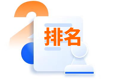 专业seo网站